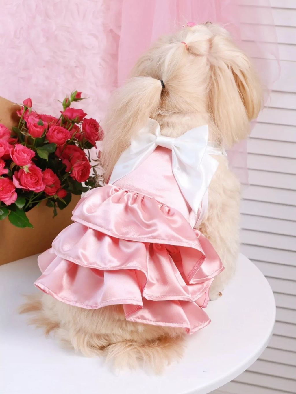 7625a93fa62641a59680995926913921-Max-Origin